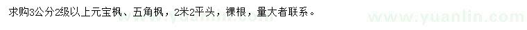 求購3公分元寶楓、五角楓