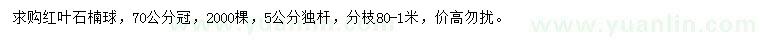 求購冠70公分紅葉石楠球