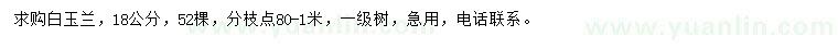 求購(gòu)18公分白玉蘭