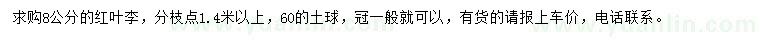求購(gòu)8公分紅葉李