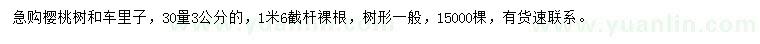 求購(gòu)30量3公分櫻桃樹、車?yán)镒? />
                        <br />
                        <label style=