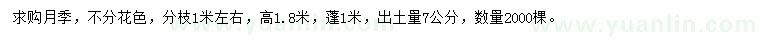 求購(gòu)高1.8米月季