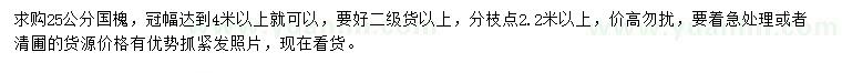 求購25公分國槐