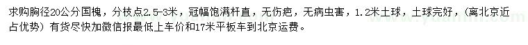 求購(gòu)胸徑20公分國(guó)槐