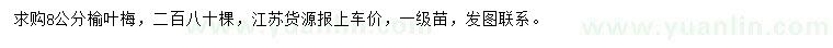 求購8公分榆葉梅