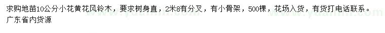 求購10公分小花黃花風(fēng)鈴木