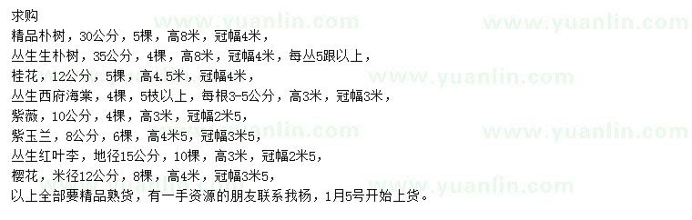 求購樸樹(shù)、桂花、西府海棠等