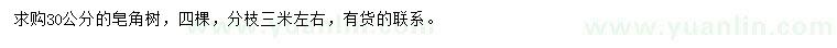 求購30公分皂角樹