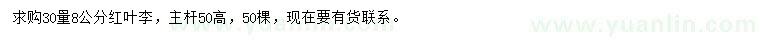 求購30量8公分紅葉李
