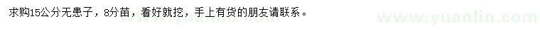 求購15公分無患子