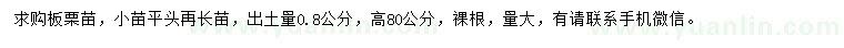 求購出土量0.8公分板栗苗