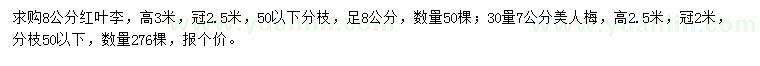 求購8公分紅葉李、30量7公分美人梅
