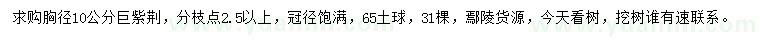 求購胸徑10公分巨紫荊