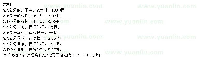 求購廣玉蘭、楸樹、梓樹等