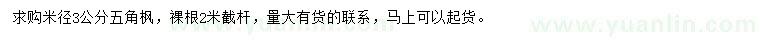 求購米徑3公分五角楓