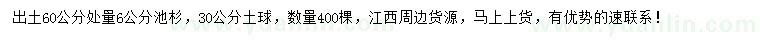 求購60量6公分池杉