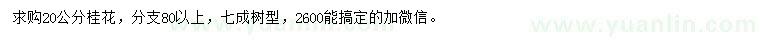求購20公分桂花
