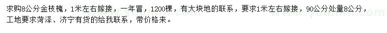 求購8公分金枝槐