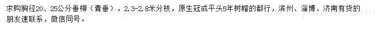 求購(gòu)胸徑20、25公分垂柳