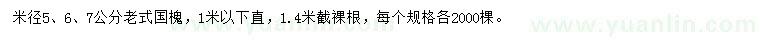 求購米徑5、6、7公分老式國槐