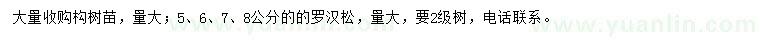 求購構(gòu)樹苗、5、6、7、8公分羅漢松