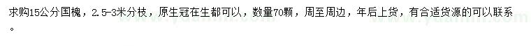 求購15公分國槐