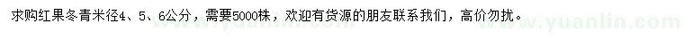 求購米徑4、5、6公分紅果冬青