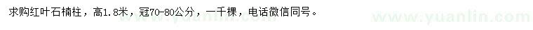 求購高1.8米紅葉石楠柱