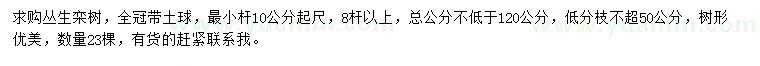 求購叢生欒樹