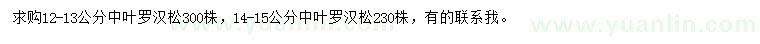 求購(gòu)12-13、14-15公分中葉羅漢松