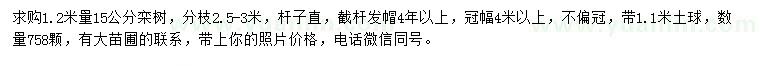 求購1.2米量15公分欒樹