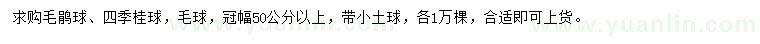 求購冠幅50公分以上毛鵑球、四季桂球