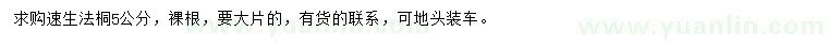 求購5公分速生法桐