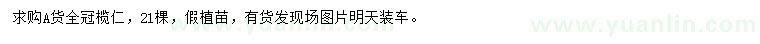 求購欖仁