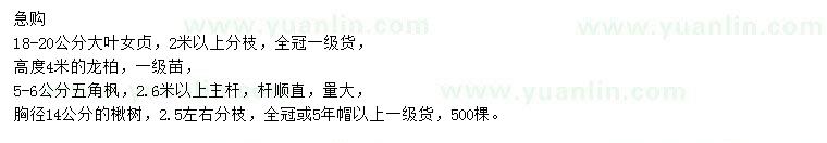 求購大葉女貞、龍柏、五角楓等