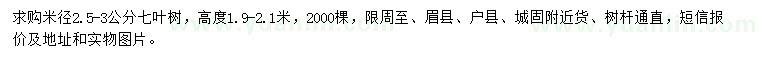 求購米徑2.5-3公分七葉樹