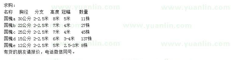 求購胸徑12、15、22、25、30公分國槐