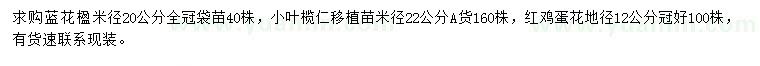 求購藍花楹、小葉欖仁、紅雞蛋花