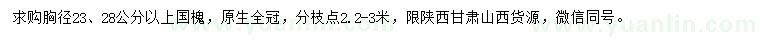 求購23、28公分以上國槐