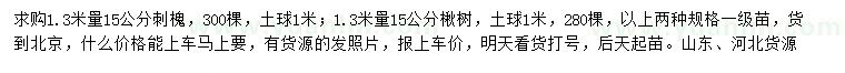 求購(gòu)1.3米量15公分刺槐、楸樹