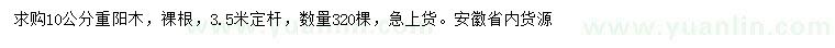 求購10公分重陽木