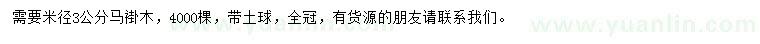 求購米徑3公分馬褂木
