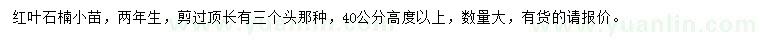求購高40公分以上紅葉石楠小苗