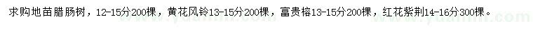 求購臘腸樹、黃花風(fēng)鈴、富貴榕等