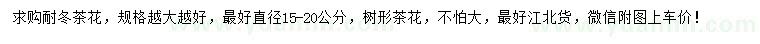 求購直徑15-20公分耐冬茶花
