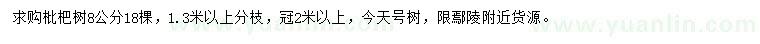 求購8公分枇杷樹