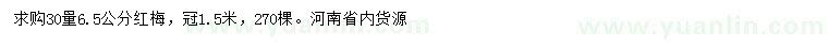 求購30量6.5公分紅梅
