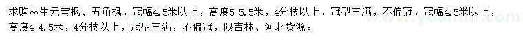 求購(gòu)叢生元寶楓、五角楓