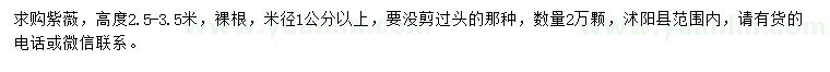 求購高度2.5-3.5米紫薇