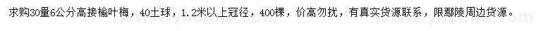 求購(gòu)30量6公分高接榆葉梅